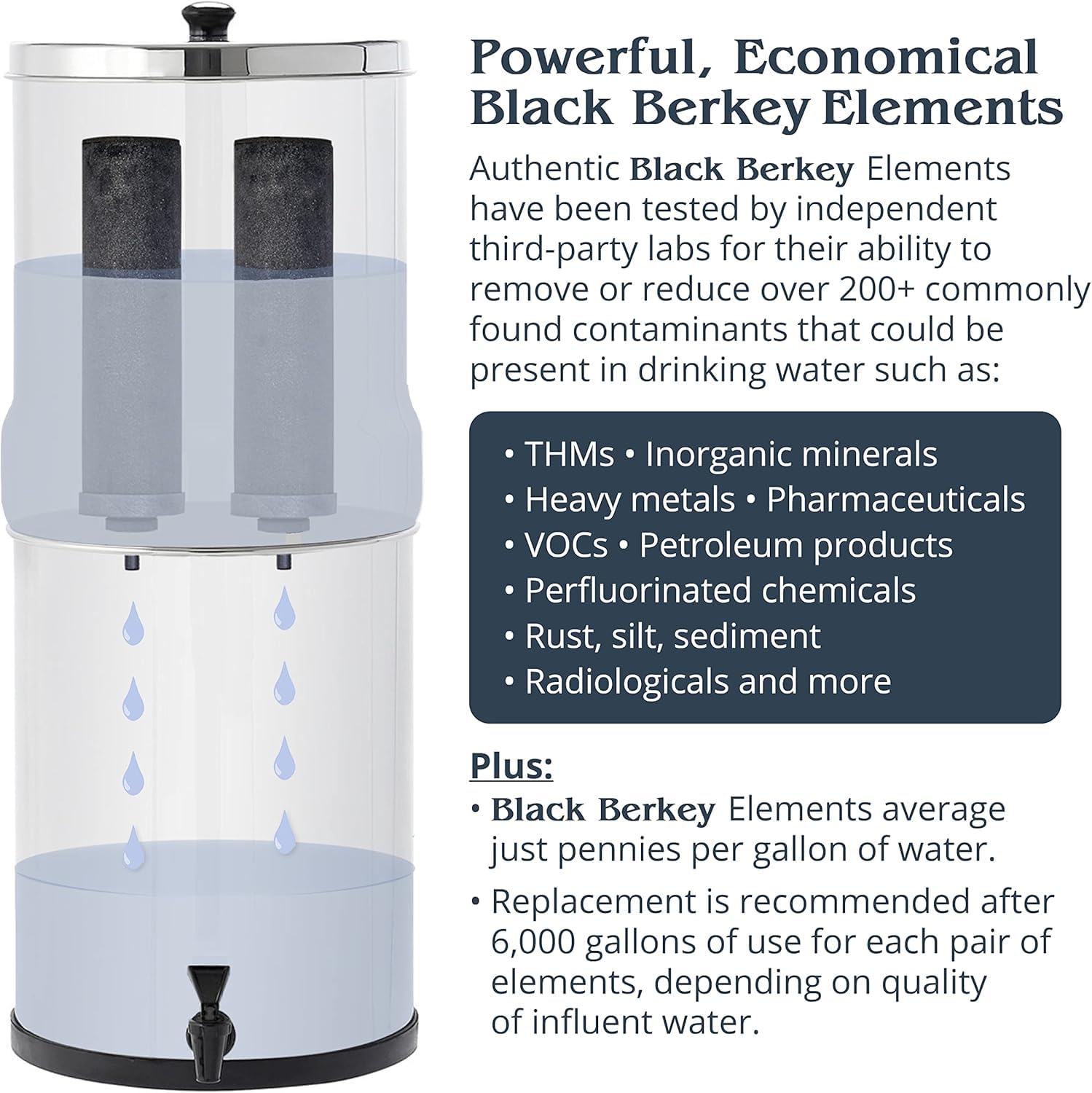 Amazon.co.jp: トラベル用 Berkey (バーキー) 大型重力式浄水器